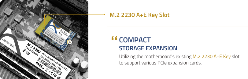 T445 & T455 M.2 2230 (A+E Key) SSD_3